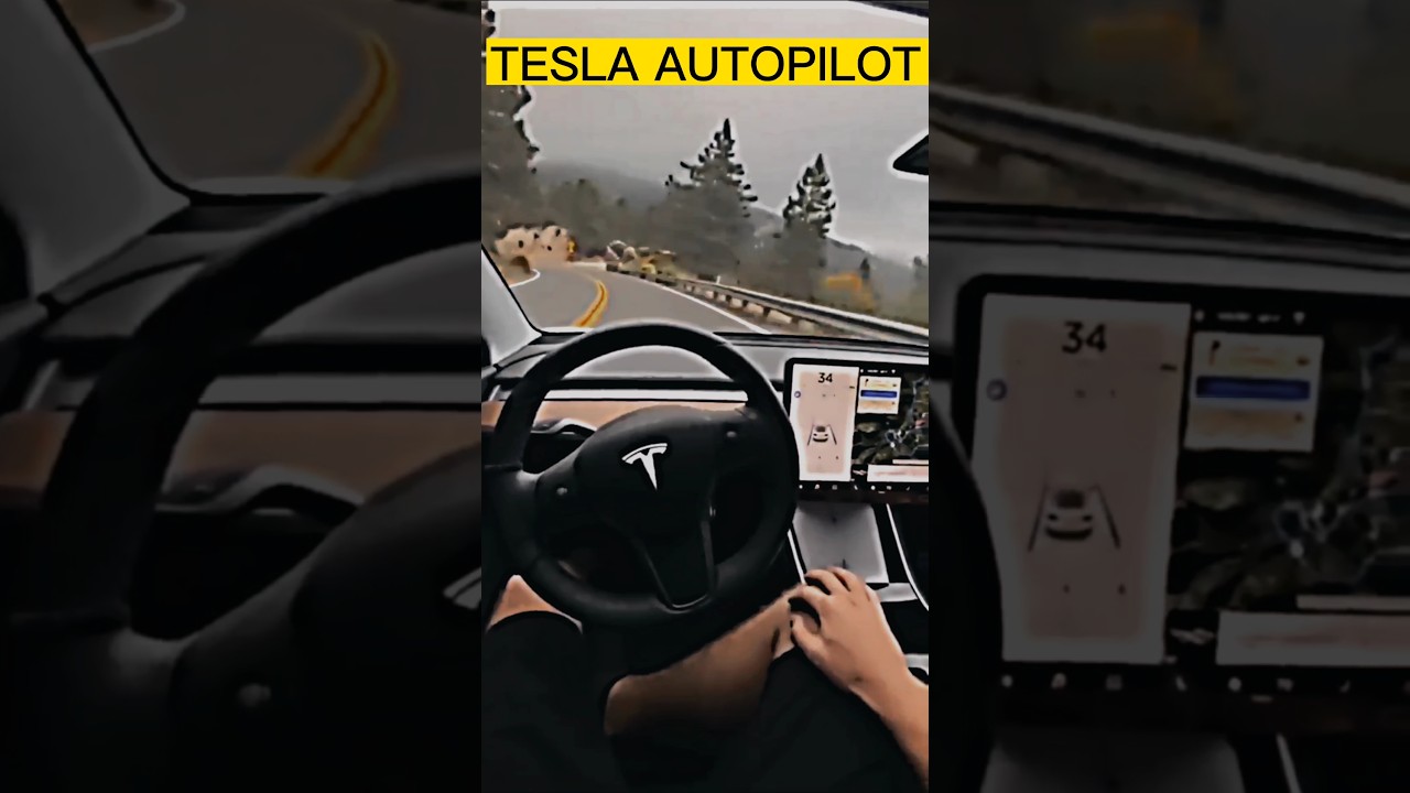 TESLA VS XUV 700 AUTOPILOT MODE COMPARISON #status #youtube #ytshorts