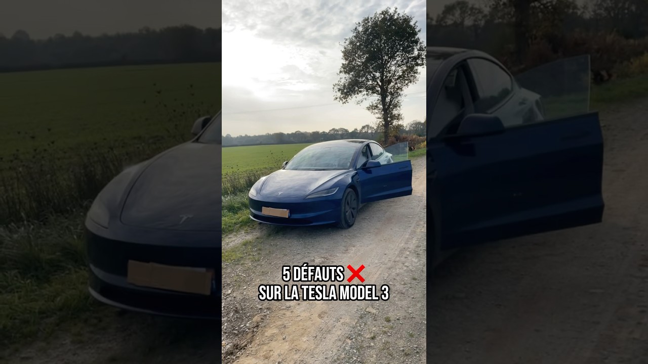 LA PIRE VOITURE 🤬 #tesla #model3 #automobile