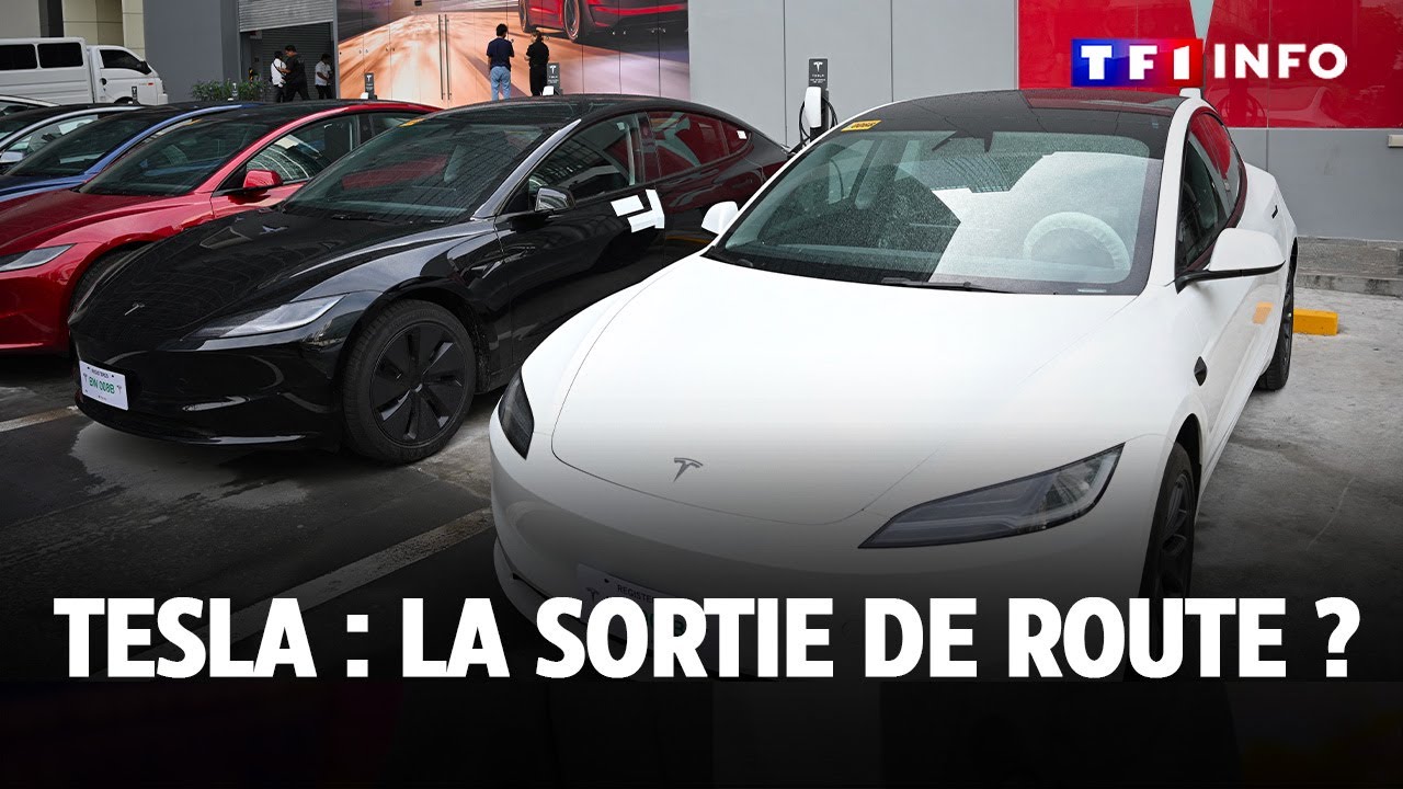 Tesla : la sortie de route ? ｜TF1 INFO