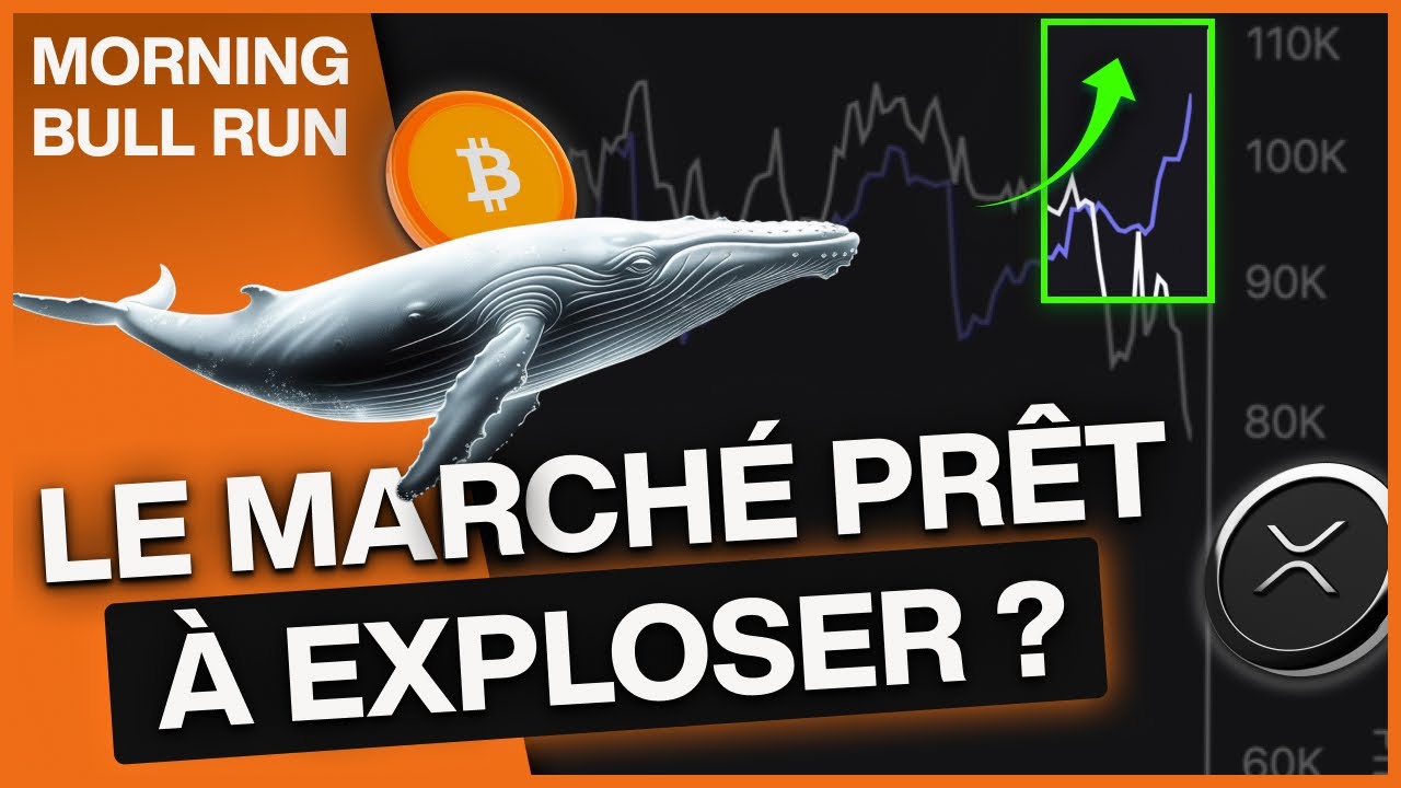 Actu Crypto : Les whales vont bientôt faire exploser le marché crypto