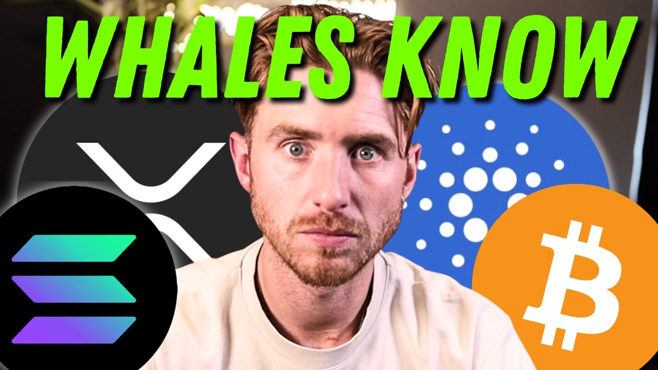 TRUMP About to DROP CRYPTO BOMBSHELL | Whales Make HUGE Moves! 🚨🔥