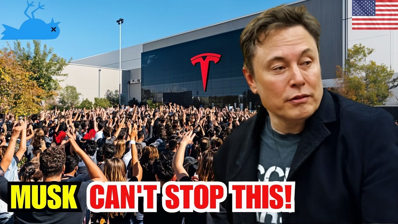 Top 5 STATES Collapsing Fast as Elon Musk’s Empire Crashes – Tesla & Twitter X Employees Panic