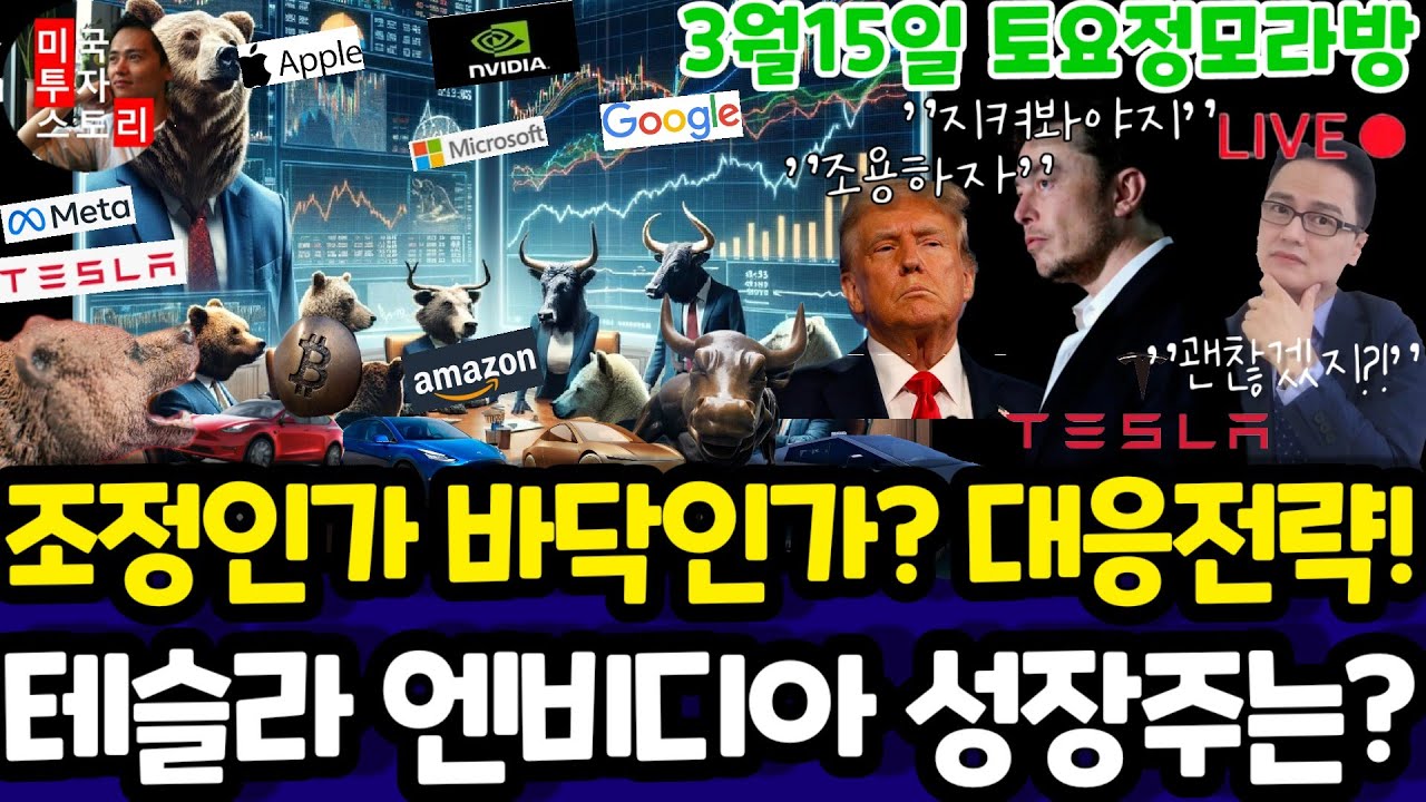 미국주식/전기차 인공지능 양자 바이오 반도체/테슬라 엔비디아 구글 애플 아마존 메타 마이크로소프트 팔란티어 아이온큐 리게티 SMCI LLY 노보등 $tsla #tesla