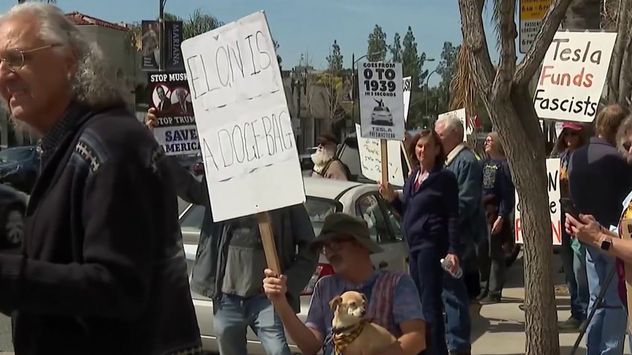 DOGE Protests continue at Tesla dealerships