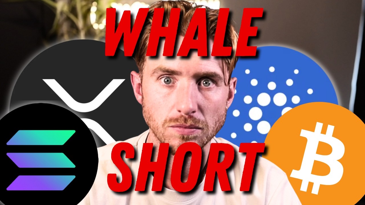 🚨HOLY SH*T Whale JUST Set 0M Short on BITCOIN TARGETING K!!!