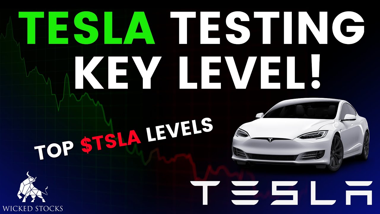 Tesla Stock Price Analysis | Top Levels To Watch for March 13th, 2025