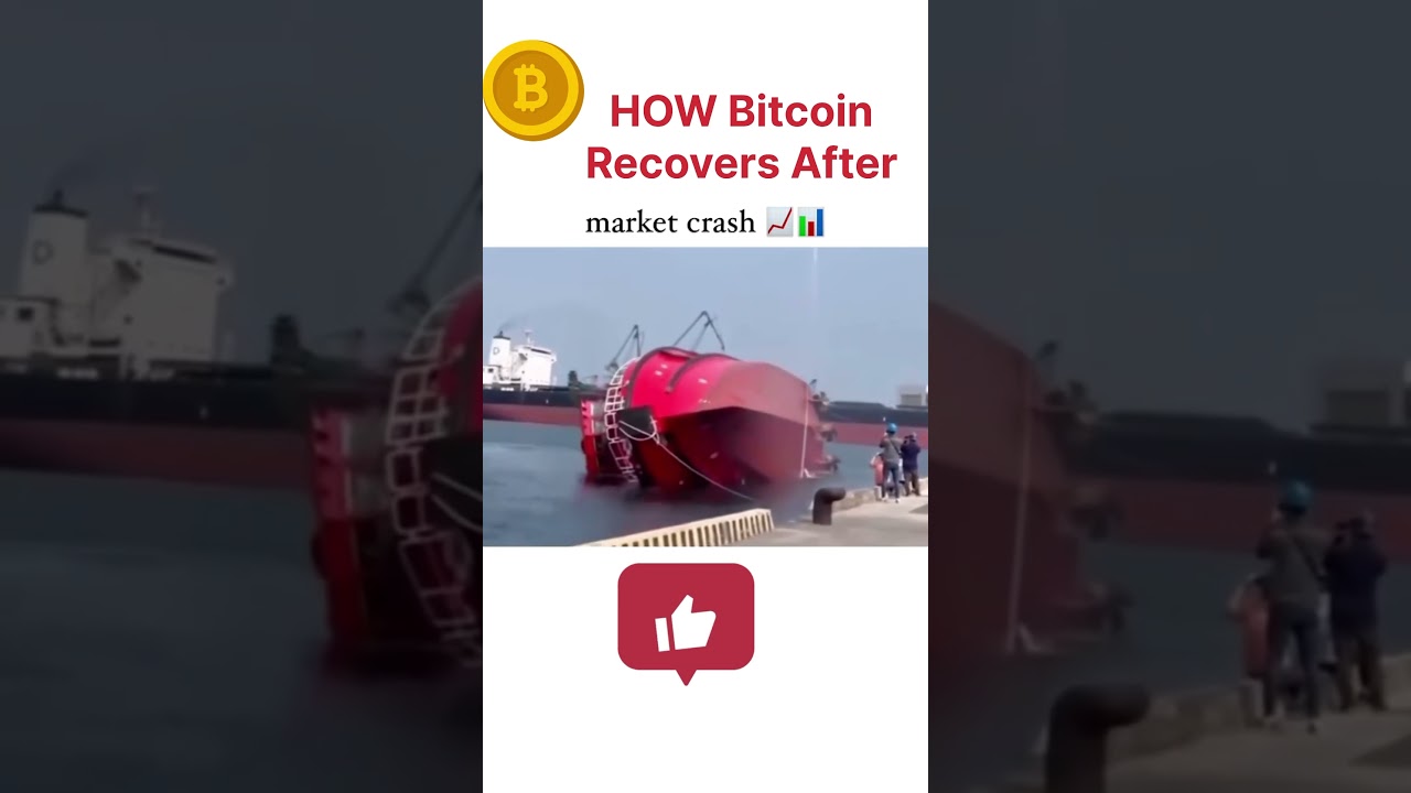 How #Bitcoin Recovers after market crash  #trading #crypto #traders