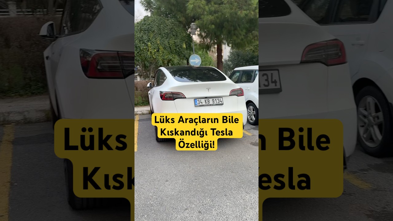 Lüks Araçların Bile Kıskandığı Tesla Özelliği! #tesla #modely #elektrikliaraçlar