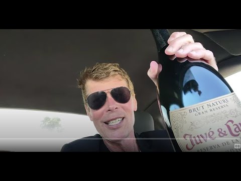 BEST possible XRP Ripple NEWS I could ask for on this day! LFGXRP! Definitely chill bubbly ! SOON!!