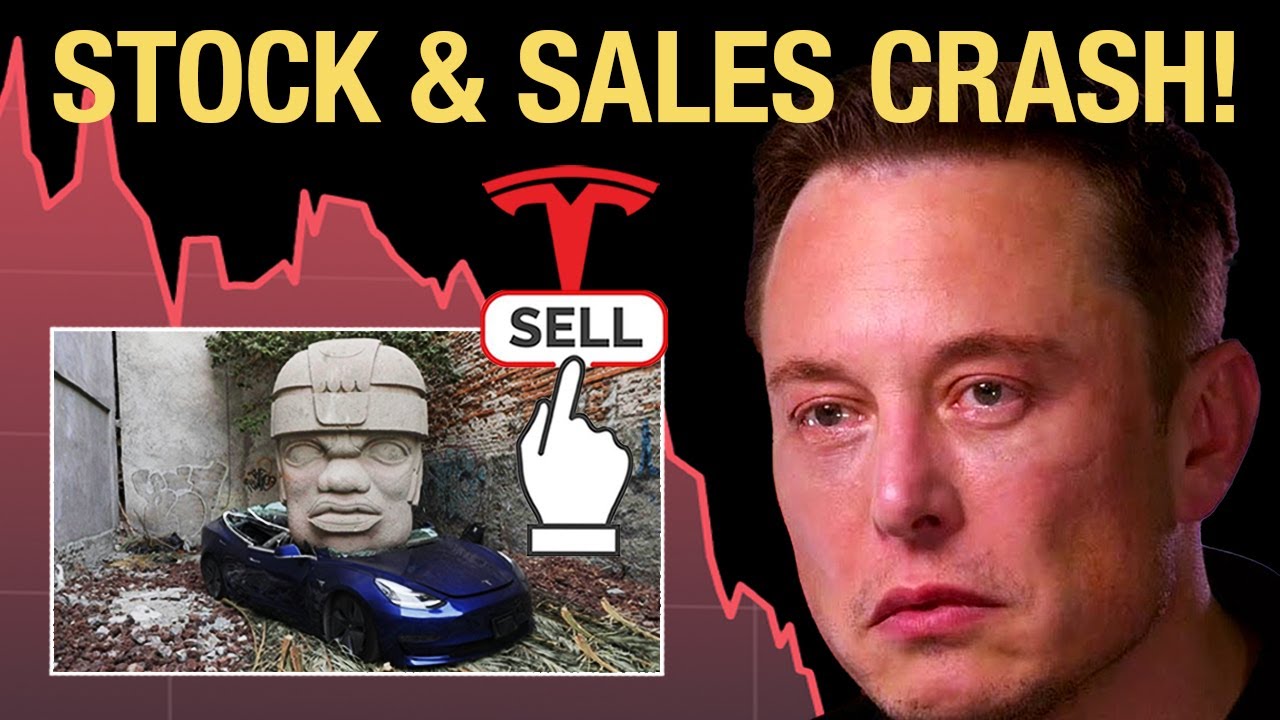 Elon PANICS as Tesla Stock & Sales Drop Like A Rock