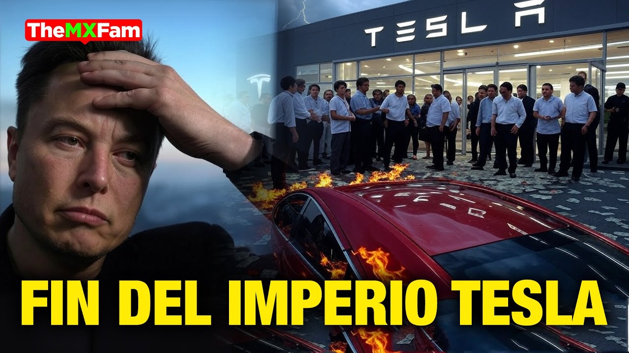 Boicot a Tesla Funciona! Elon Musk Va Rumbo a La Ruina | TheMXFam