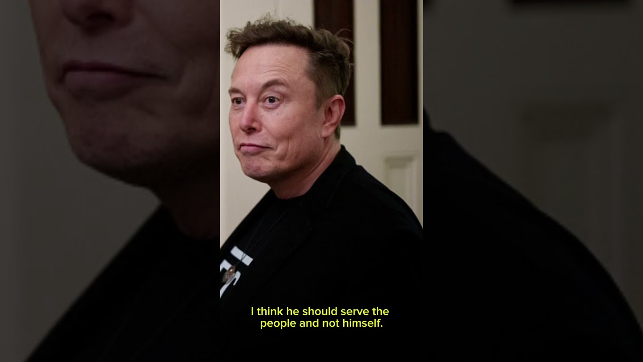 Michigan Tesla protestor on Elon Musk