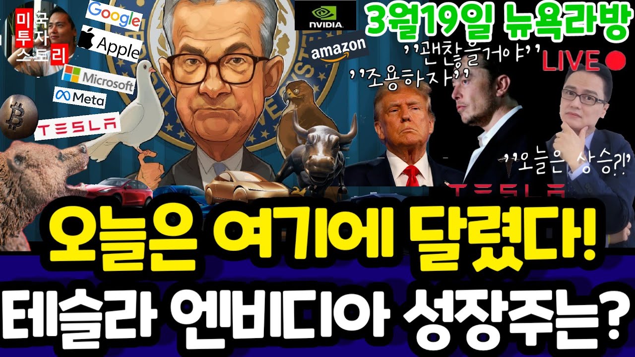 미국주식/전기차 인공지능 양자 바이오 반도체/테슬라 엔비디아 구글 애플 아마존 메타 마이크로소프트 팔란티어 아이온큐 리게티 SMCI LLY 노보등 $tsla #tesla