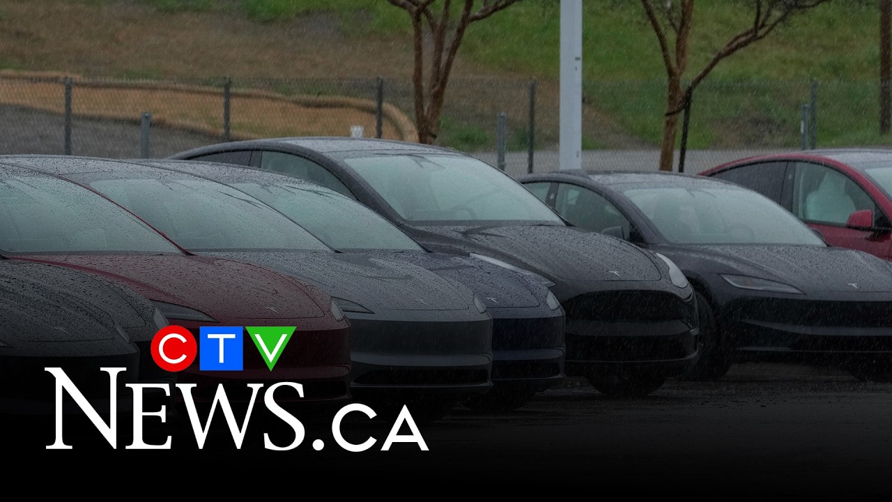 Questions over rows of brand new Teslas filling random parking lots