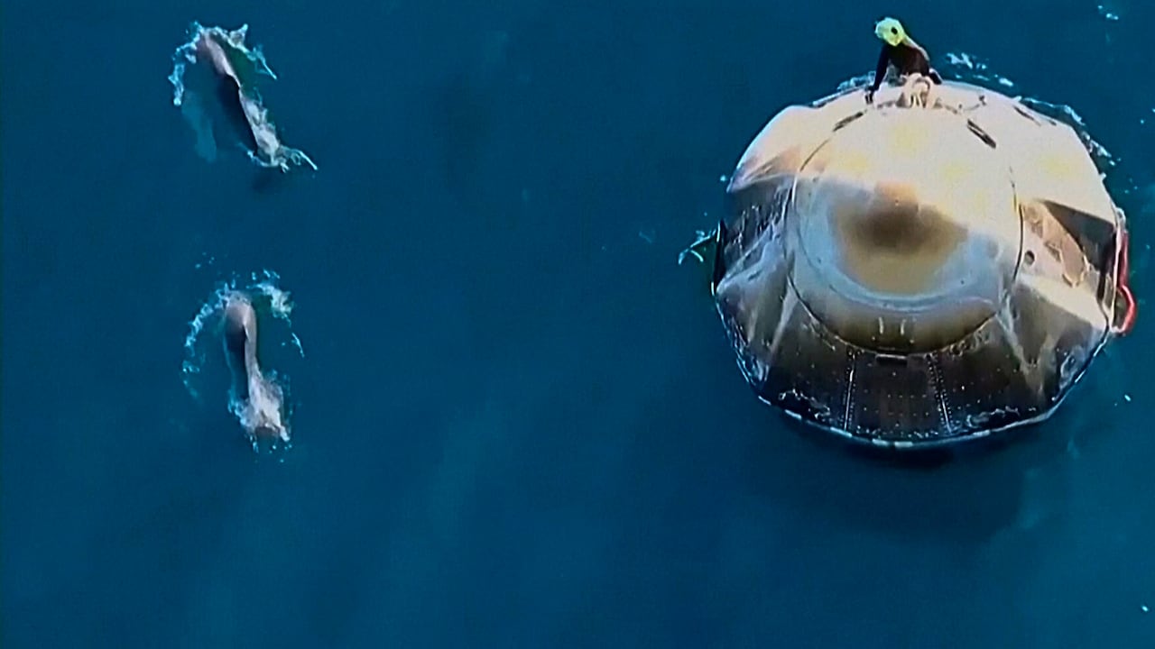 #TheMoment dolphins greeted the capsule returning astronauts to Earth