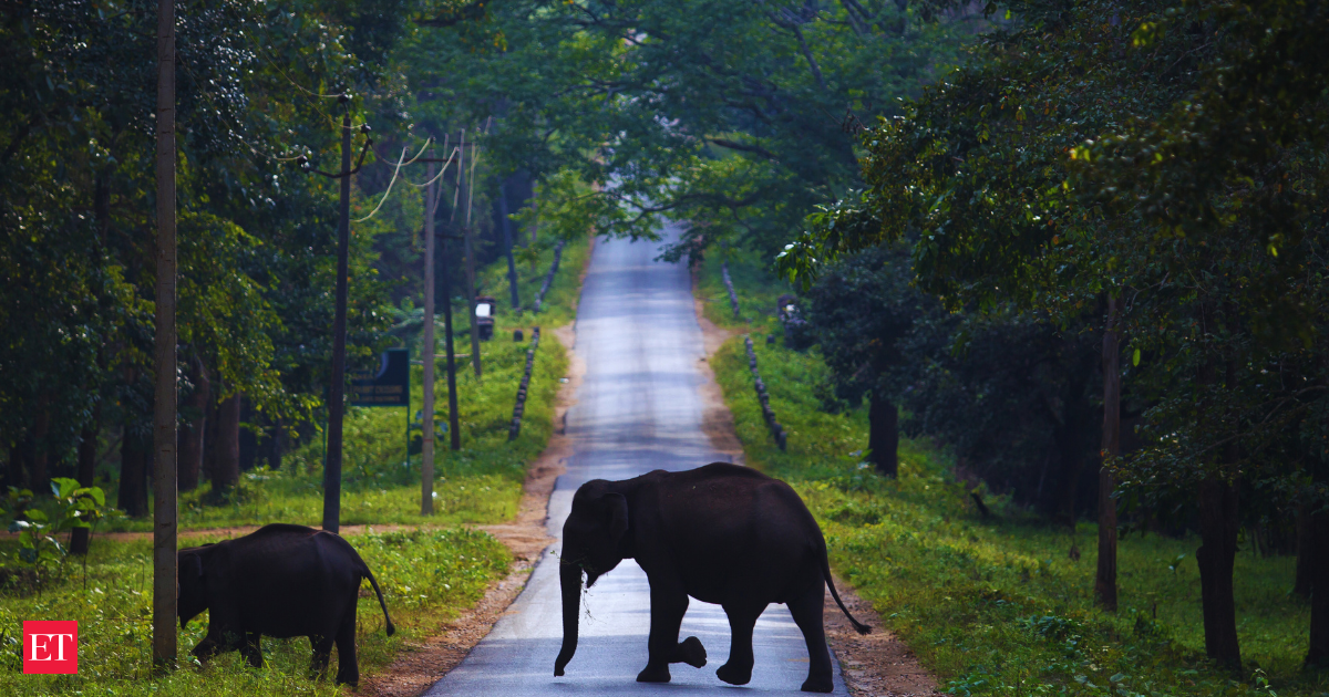 Construction of Lucknow night safari, adventure park to begin from April