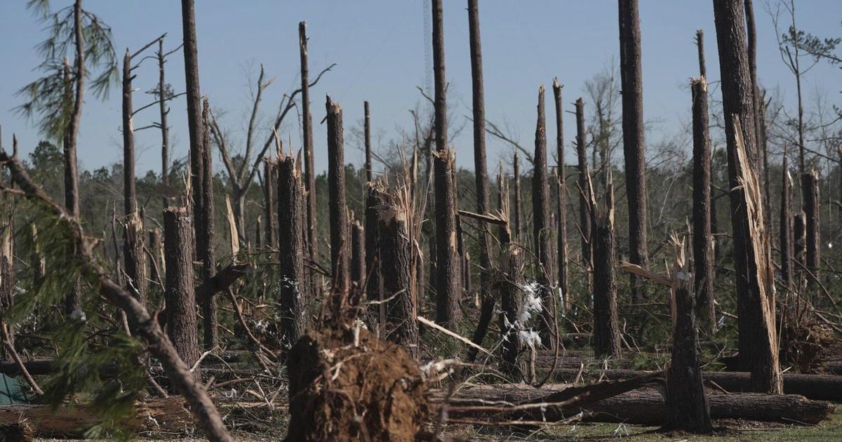 Severe weather moves east after tornadoes, winds and wildfires killed at least 39 people