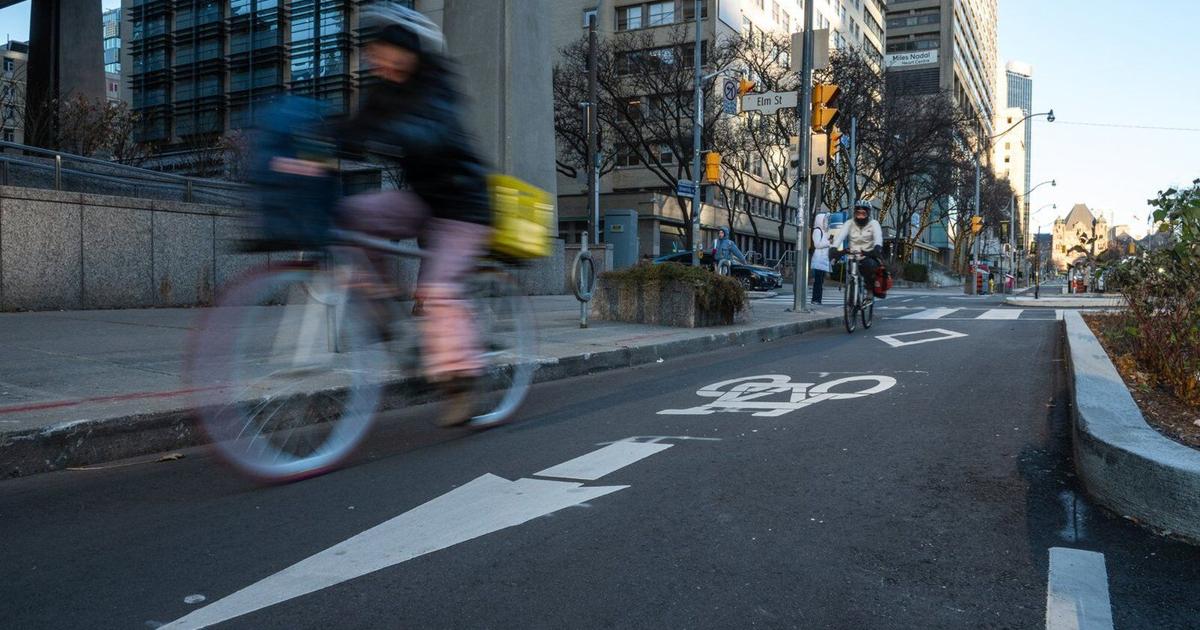 Protesters demand engineering firm cancel bike lane removal contract with province