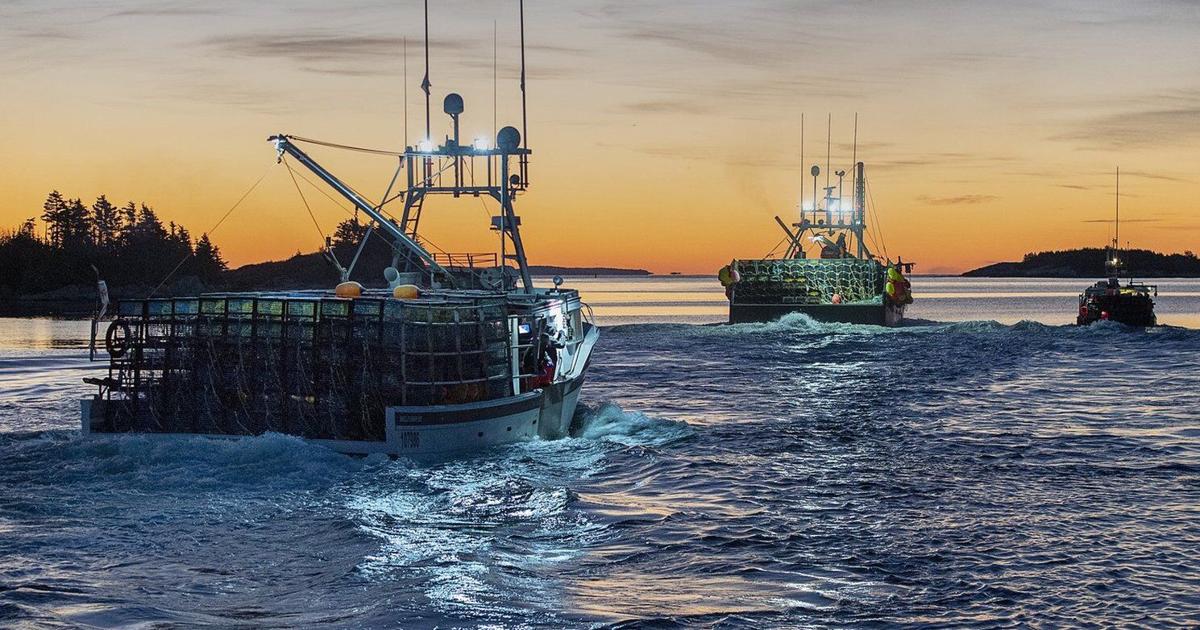 Nova Scotia says immediate effect of China seafood tariff remains unclear