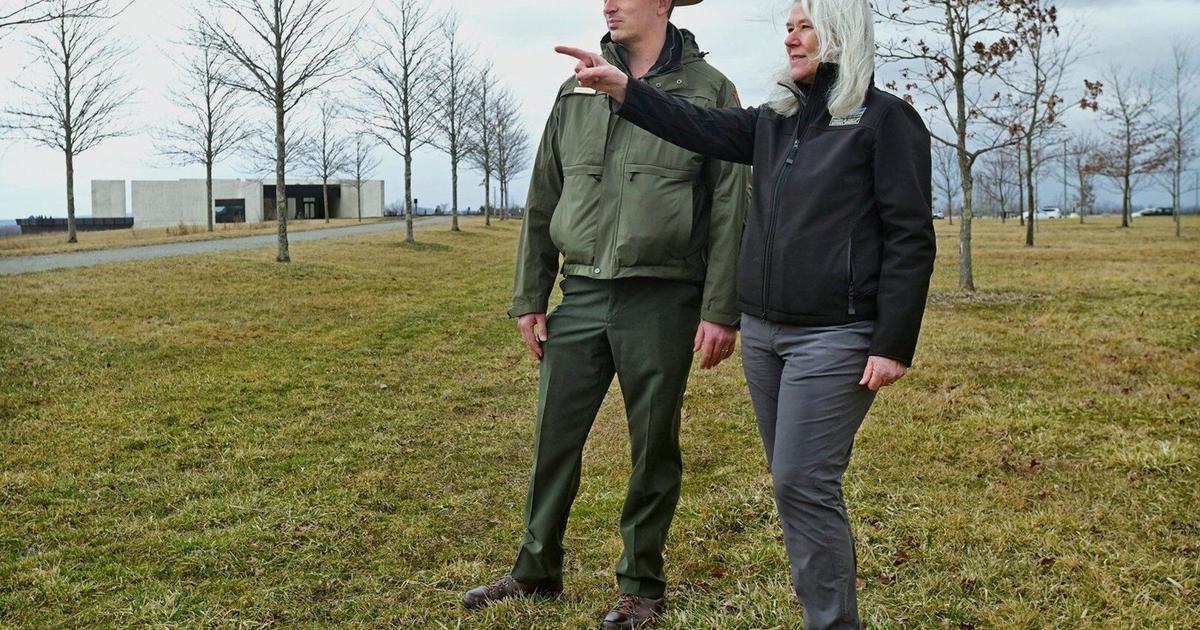 Effort to replace dead and unhealthy trees at Flight 93 memorial expected to take decades