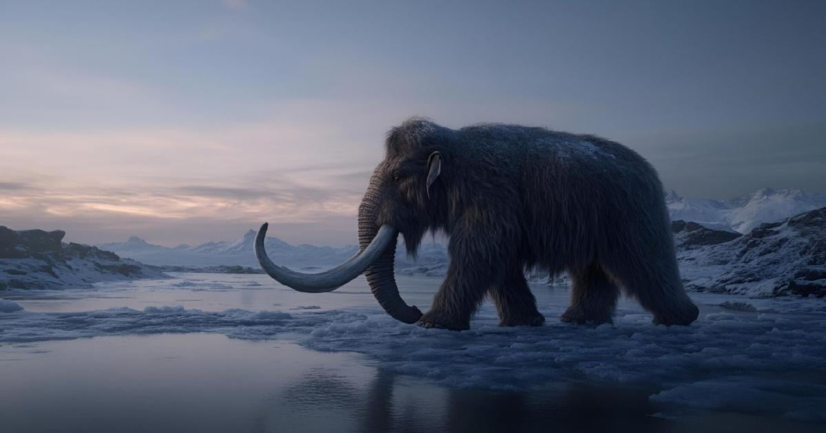 Toronto Zoo met startup bringing back the woolly mammoth