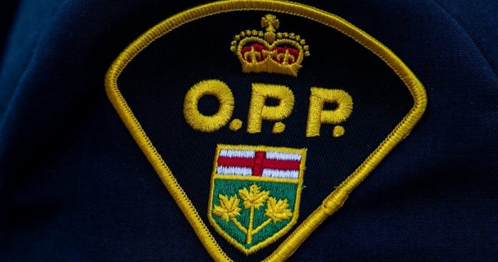 Israeli spyware may have been used by Ontario police, report alleges