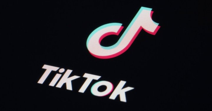 TikTok deal to keep it in U.S. will come by April deadline, Vance says – National