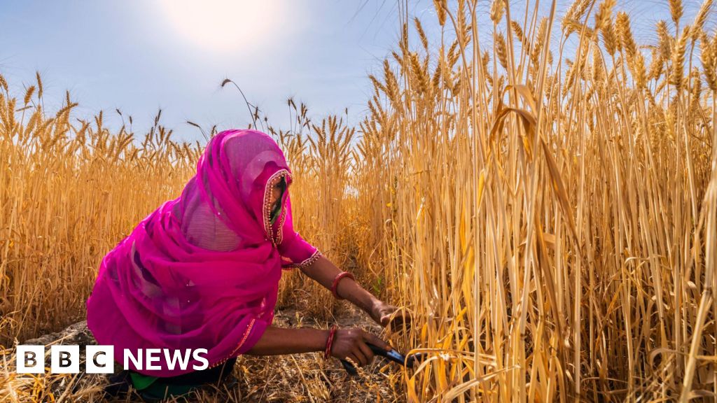 India heatwave: Summer is early