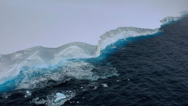 World’s biggest iceberg appears to have run aground near remote British island