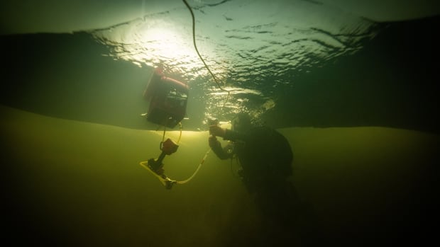 These ice-loving algae may play a big role in lake health. But time is ticking to learn more