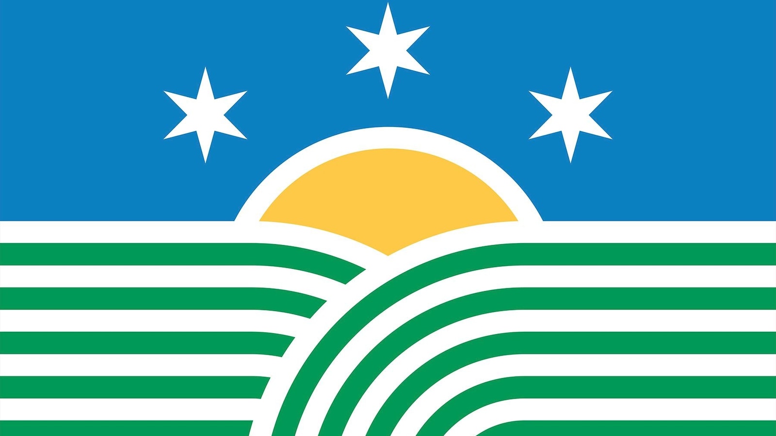 Illinois votes on a new state flag design — and chooses the current one