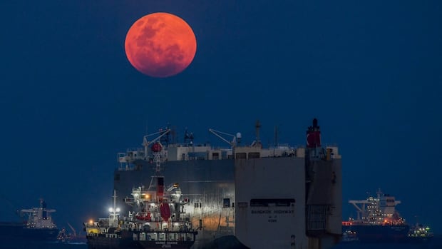 North America will have a blood worm moon this week. Here’s how you can see it