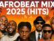 AFROBEAT MIX 2025 SUMMER NAIJA VIBES 2025 | BURNA BOY, DAVIDO, REMA, ASAKE, AYRA STARR TYPE BEAT