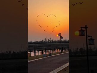 THAA – VARINDER BRAR (Official Video) | Latest Punjabi Songs 2023 | New Punjabi Song 2023