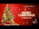 Island Christmas Love || GRACE Track 19 || Global Vibe Records