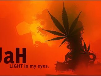 Jah Light in my Eyes (Album : Ganja Smokers Songs) Roots Reggae – Rasta Vibes – Rastafari Jamaica