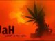 Jah Light in my Eyes (Album : Ganja Smokers Songs) Roots Reggae – Rasta Vibes – Rastafari Jamaica